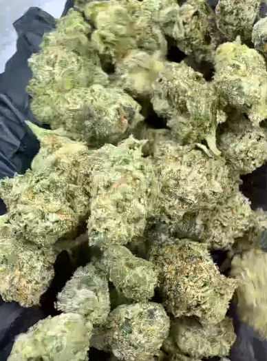 Rainbow Belts smalls Flower