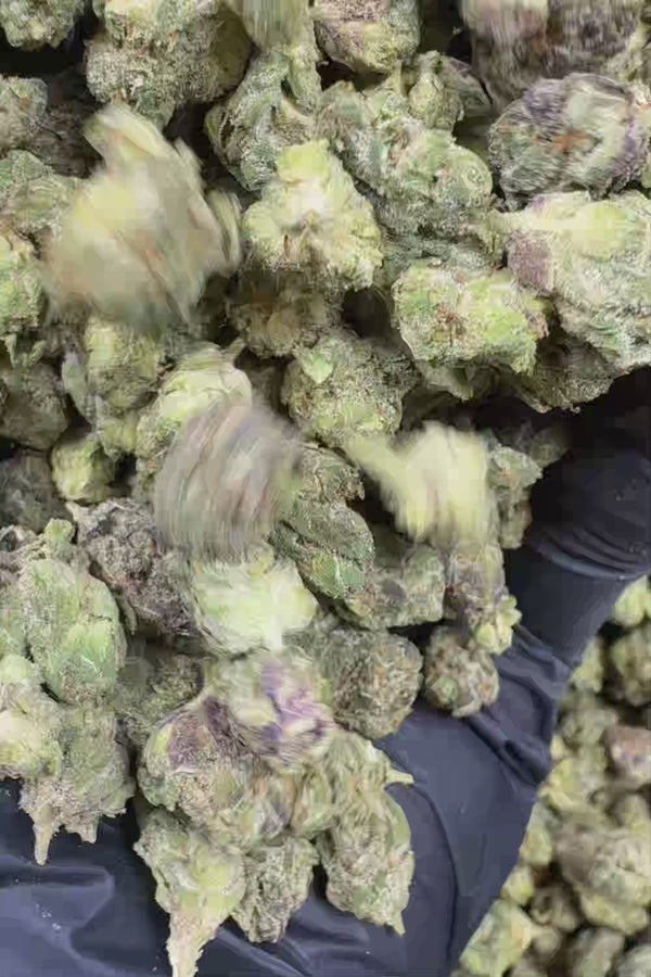 Raspberry gas smalls Flower