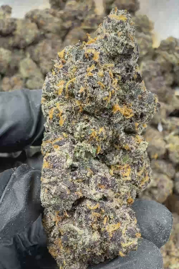 Super Boof exotic Flower