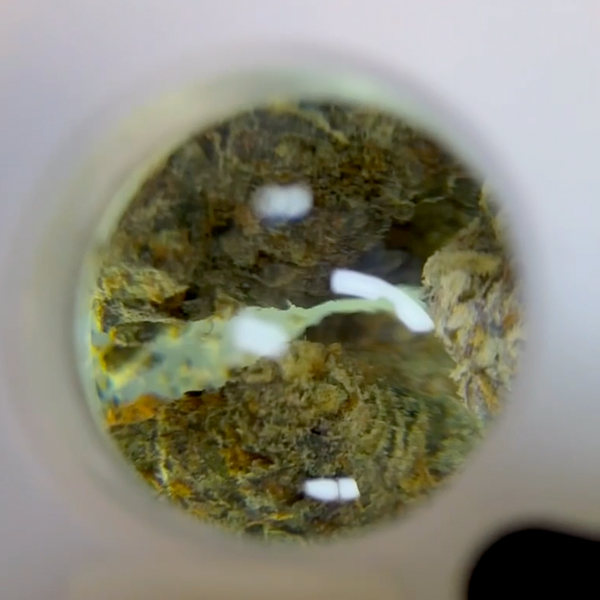 supergreens cannabis close up