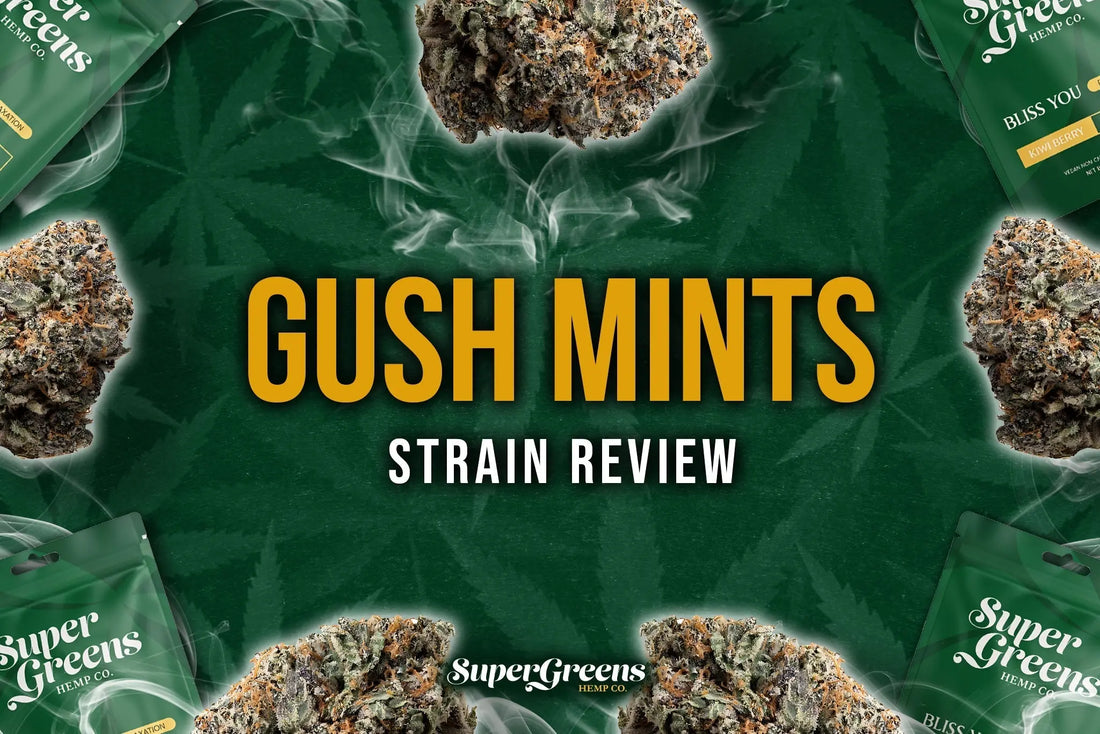 Gush-Mints-Strain-Review-2025 Super Greens Hemp Co