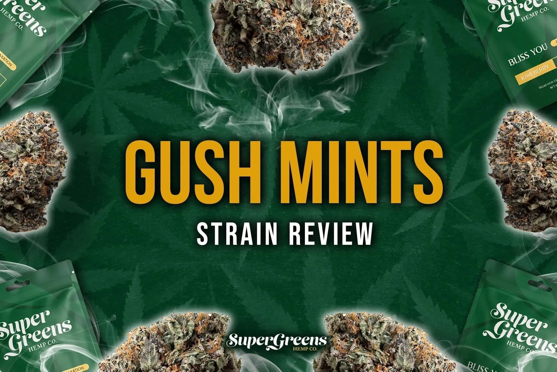 Gush Mints Strain Review (2025): Flavor, Effects & Where to Buy!