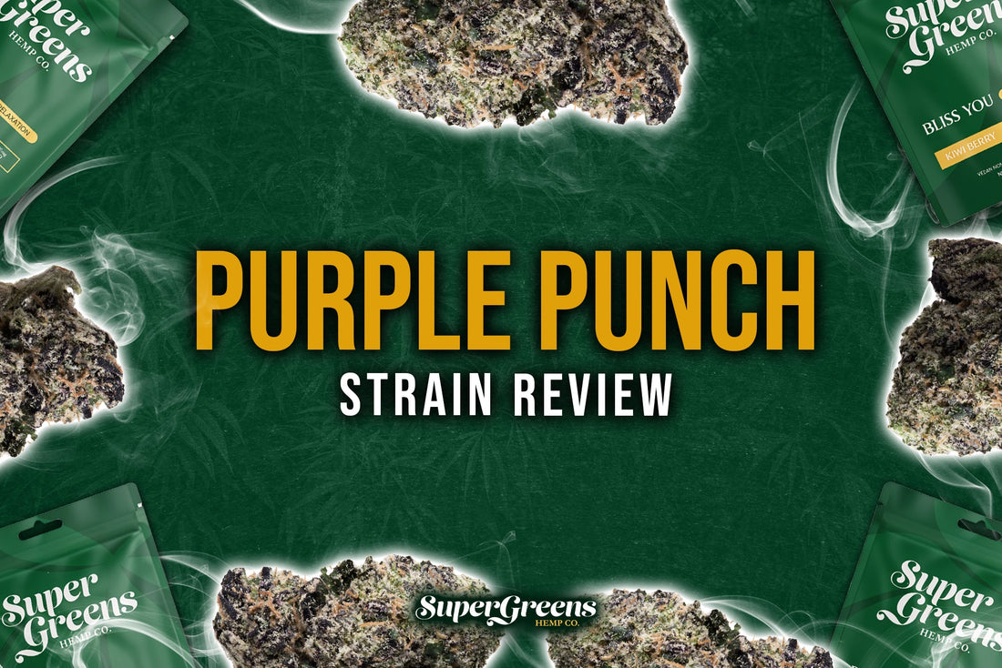 Purple Punch Strain Review: Sweet, Sedating, & Very Potent! - Super Greens Hemp Co