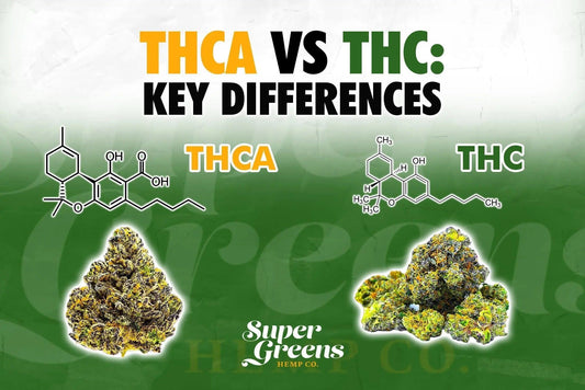 thca vs thc - key differences