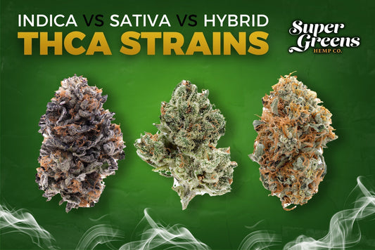 Indica vs Sativa vs Hybrid THCa Strains