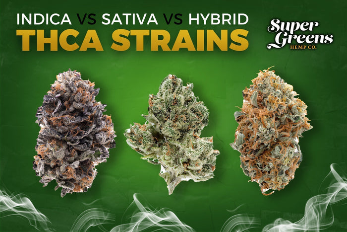 Indica vs Sativa vs Hybrid THCa Strains