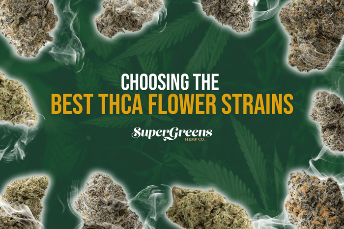 Choosing the Best THCa Flower Strains: 2026 Lab-Tested Picks 