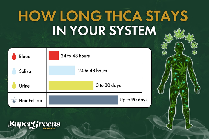 thca drug test detection time chart