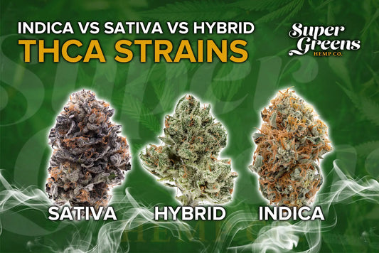 Indica vs Sativa vs Hybrid THCa Strains