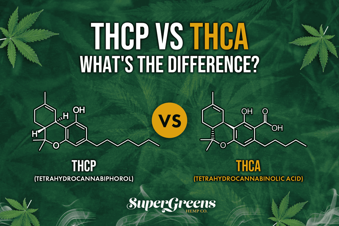 THCP vs. THCA: What's the Difference?