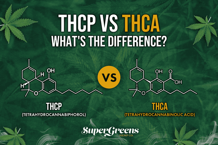THCP vs. THCA: What's the Difference?