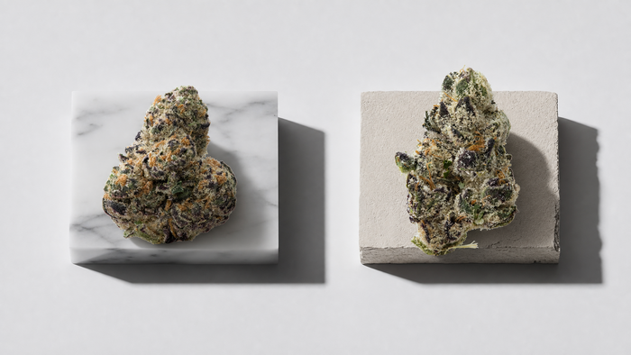 THCa Flower vs Dispensary Weed: What’s the Difference? 