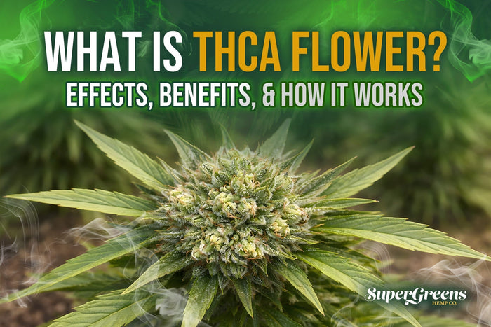 What Is THCA Flower? Effects, Benefits, & How It Works 