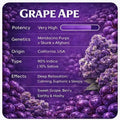 Grape Ape THCa Flower 