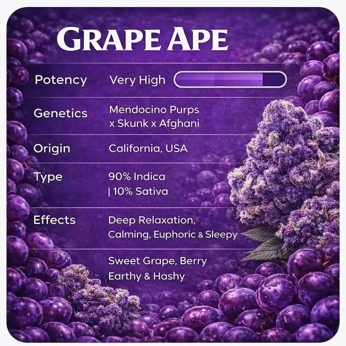 Grape Ape THCa Flower Online | Exotic Ounces (28g)