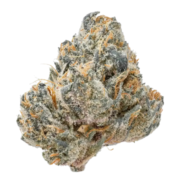 Lip Smacker Smalls THCa Flower 