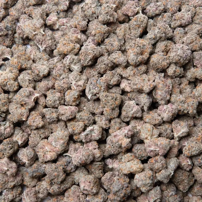 Gary Payton THCa Flower Ounce supergreenshempco