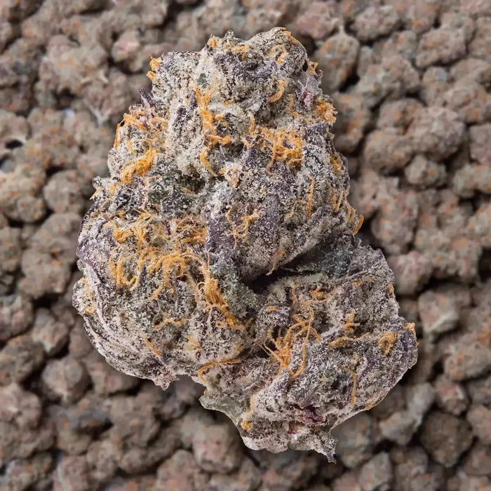 Gary Payton THCa Flower Ounce supergreenshempco