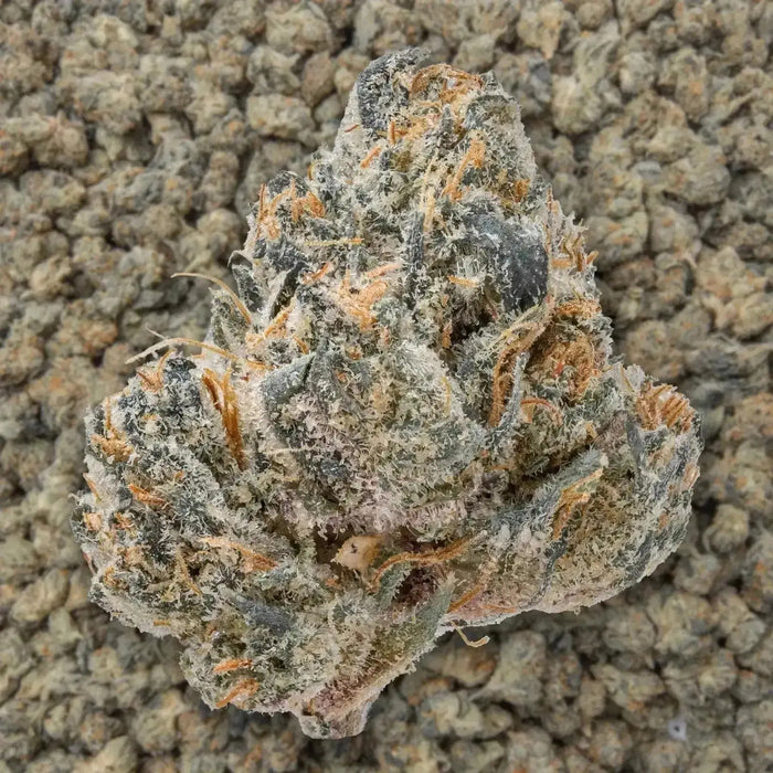 Lip Smacker Smalls THCa Flower supergreenshempco