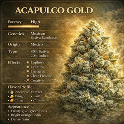 Acapulco Gold THCa Flower 