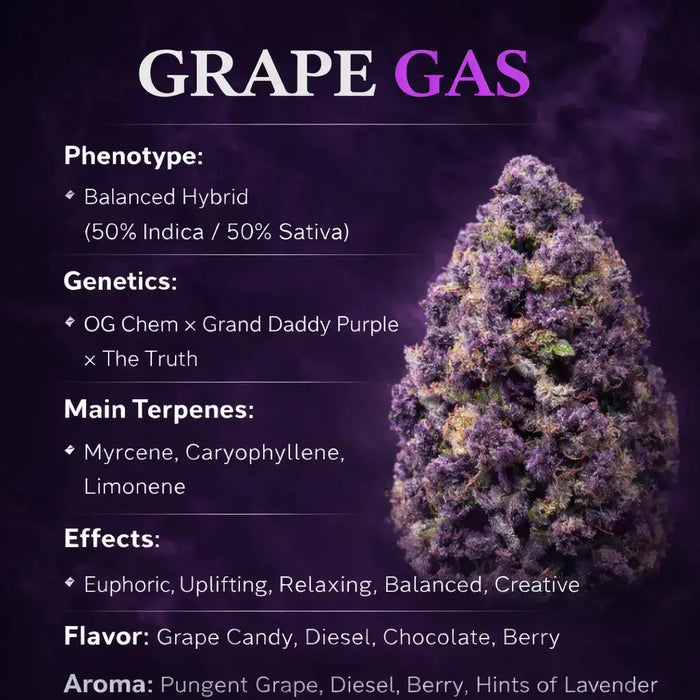 Grape Gas Smalls THCa Flower 