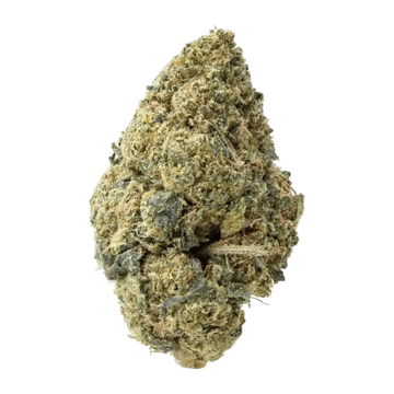 Acapulco Gold THCa Flower 