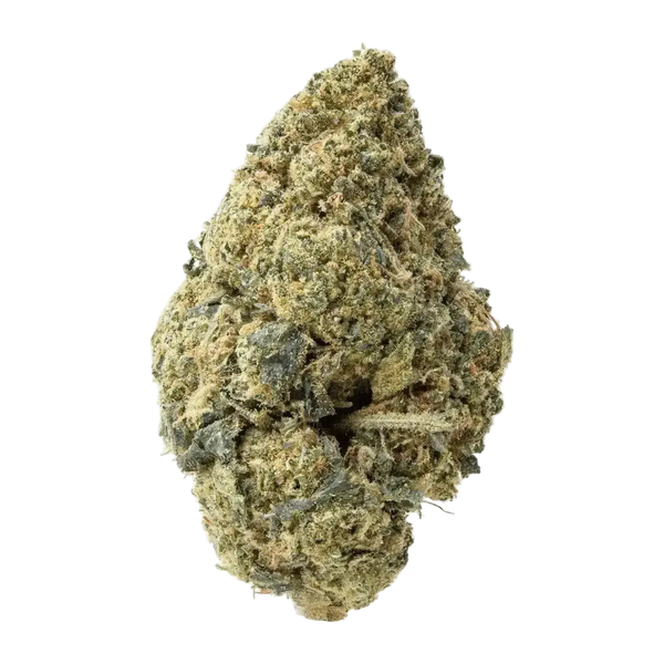 Acapulco Gold THCa Flower 