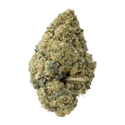 Acapulco Gold THCa Flower 