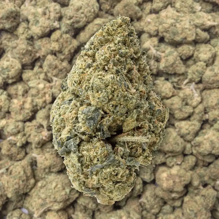 Acapulco Gold THCa Flower supergreenshempco