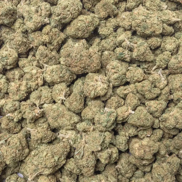 Acapulco Gold THCa Flower supergreenshempco