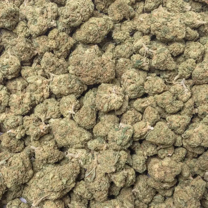 Acapulco Gold THCa Flower supergreenshempco