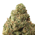 Acapulco Gold THCa Flower close up