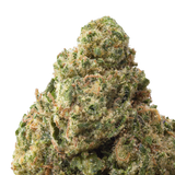 Acapulco Gold THCa Flower