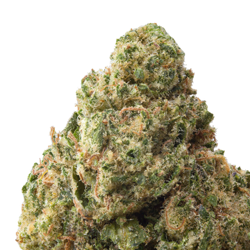 Acapulco Gold THCa Flower close up