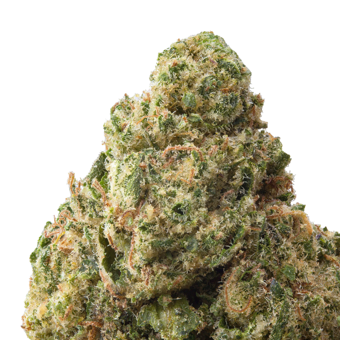 Acapulco Gold THCa Flower close up