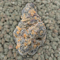 Alaskan TF Smalls THCa Flower supergreenshempco