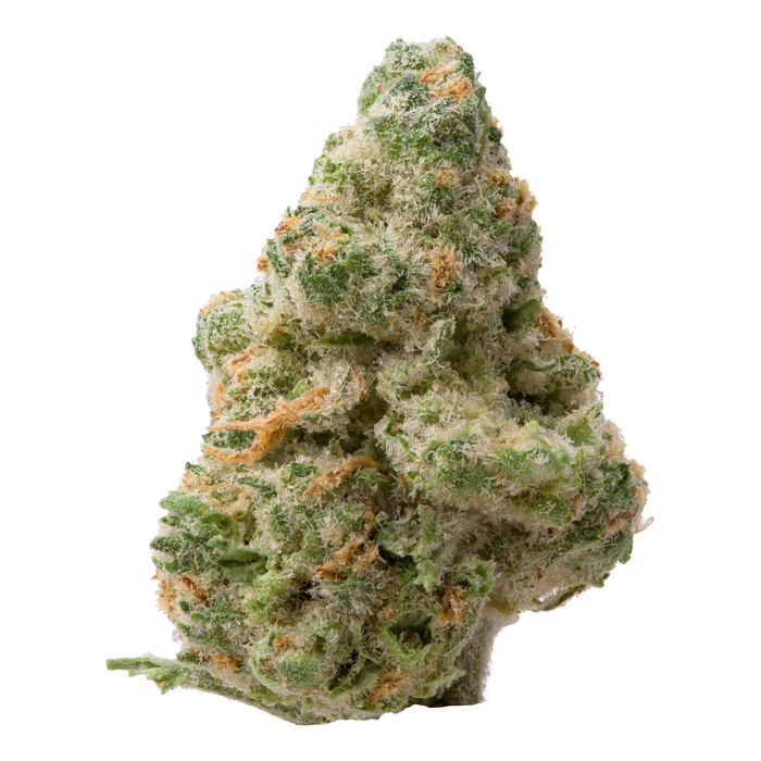 Alaskan TF Smalls THCa Flower nug