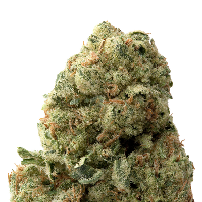 Alien OG Premium Indoor THCa Flower 3.5g