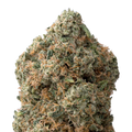 Alien OG THCa Flower