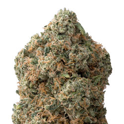 Alien OG THCa Flower