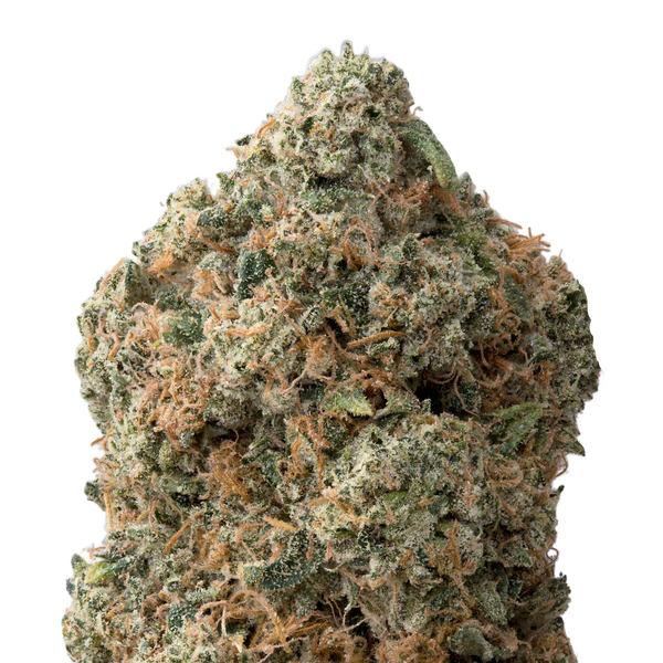 Alien OG THCa Flower