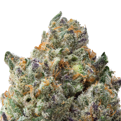 Animal Face THCa Flower macro