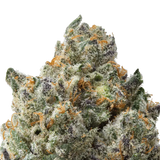 Animal Face THCa Flower
