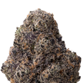 Archive Runtz THCa Flower macro