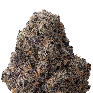 Archive Runtz THCa Flower macro