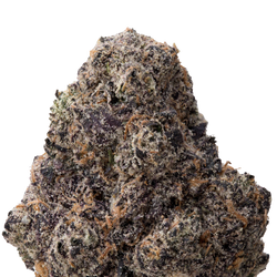 Archive Runtz THCa Flower macro