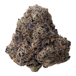 Archive Runtz THCa Flower nug
