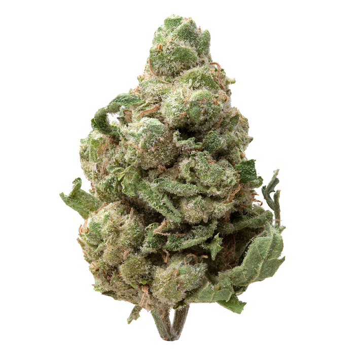 Artificial Candy Greenhouse Smalls THCa Flower | 28 Grams 