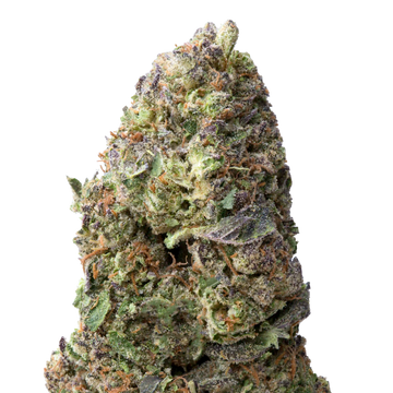Artificial Red THCA Flower macro