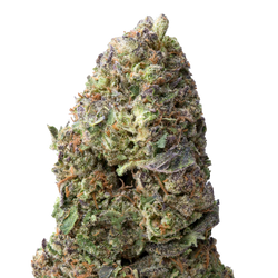Artificial Red THCA Flower macro